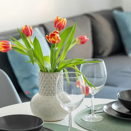 Apartment Baltycka Stylish With Parking Near The Port In By Renters *